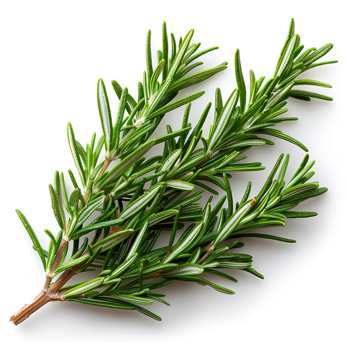 ROSEMARY