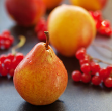 Load image into Gallery viewer, CRANBERRY PEAR