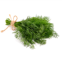 Load image into Gallery viewer, FERNLEAF DILL